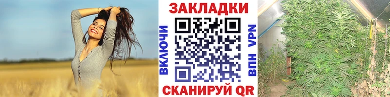 Виды наркотиков купить Бугульма Alpha PVP  МЕФ  Лсд 25  МАРИХУАНА  Кокаин  ГАШИШ 