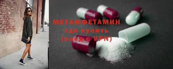 индика Аркадак