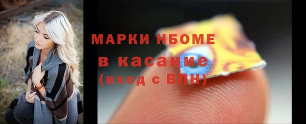 индика Аркадак